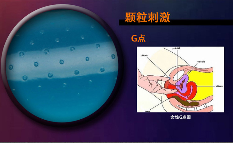 时尚炫动浮点安全套10只装名流安全套避孕套使用说明详情图03